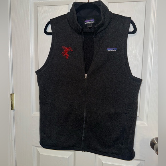 Patagonia x Fireball Vest - Picture 1 of 5